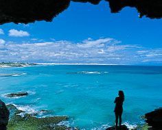 The Cape Discovery Scheduled Tour