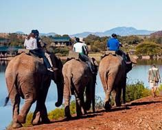 Buffelsdrift Game Lodge
