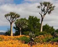 Clanwilliam