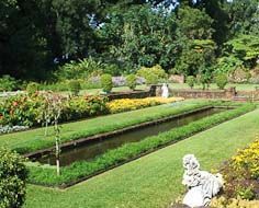Durban Botanic Gardens