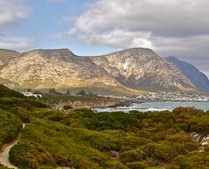 Hermanus Whale Watching