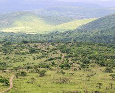 Hluhluwe-Umfolozi Game Reserve