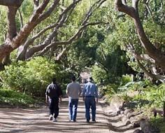 Kirstenbosch National Botanical Gardens
