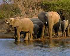4 Day Scenic and Wildlife Scheduled Tour