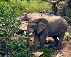 Mthethomusha Game Reserve