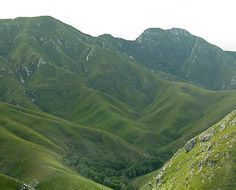 Tsitsikamma Mountains