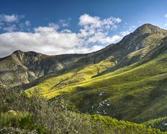 4 Days Route 62 and Garden Route Scheduled Tour