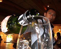 Cape Winelands Full Day  Tour