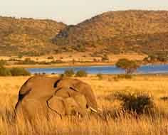 North West Province