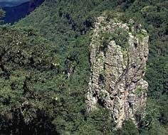 The Pinnacle