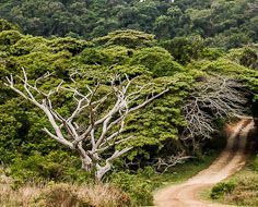 KwaZulu-Natal