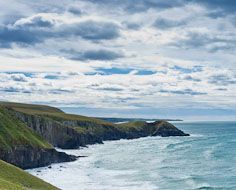 Wild Coast