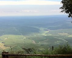 Wonder View